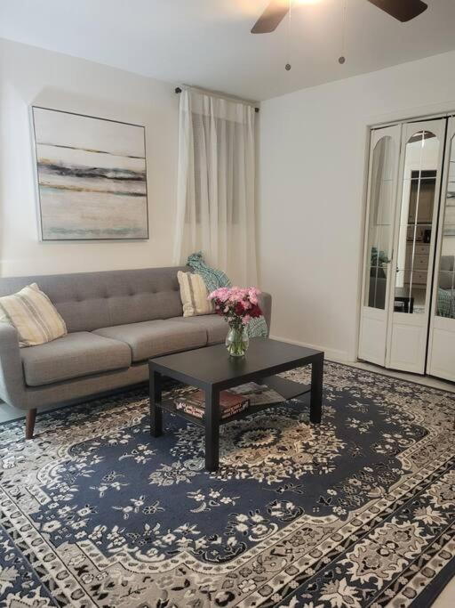 Appartamento Private Apartment, Not Shared, Near Public Transportation, Super Fast Free Wifi, Due To Ny Restrictions It Only Be Booked For 30 Nights Or More, Even If The Site Allows To Book It, I Will Not Be Able To Accept The Reservation, 30 Nights Minim New York