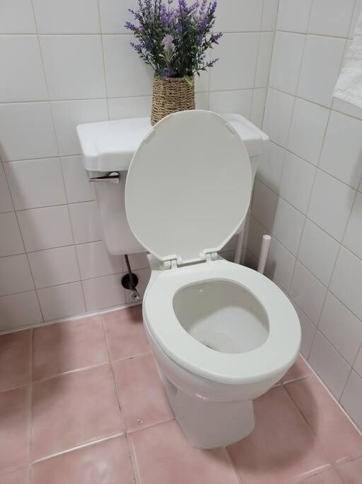 Appartamento Private Apartment, Not Shared, Near Public Transportation, Super Fast Free Wifi, Due To Ny Restrictions It Only Be Booked For 30 Nights Or More, Even If The Site Allows To Book It, I Will Not Be Able To Accept The Reservation, 30 Nights Minim New York